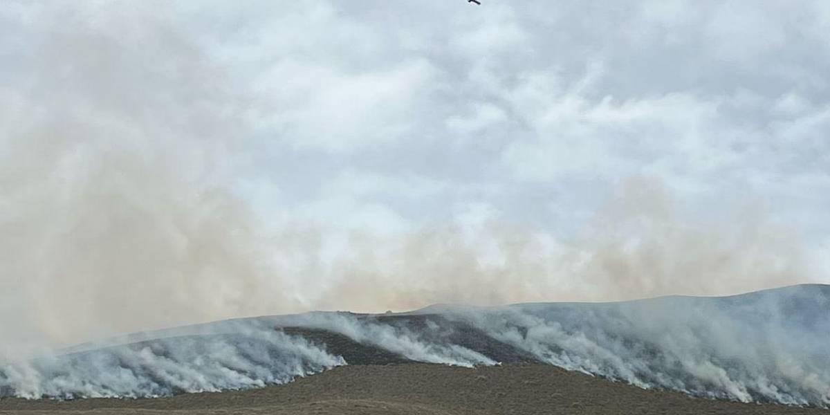 Incendio forestal arrasa más de 1.000 hectáreas en el Parque Nacional Cotacachi Cayapas